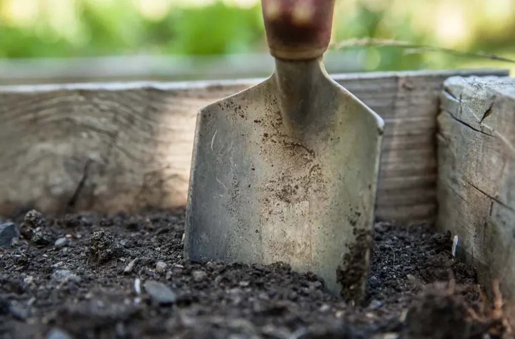 Inheemse Planten in je Tuin: Zo Begin Je!
